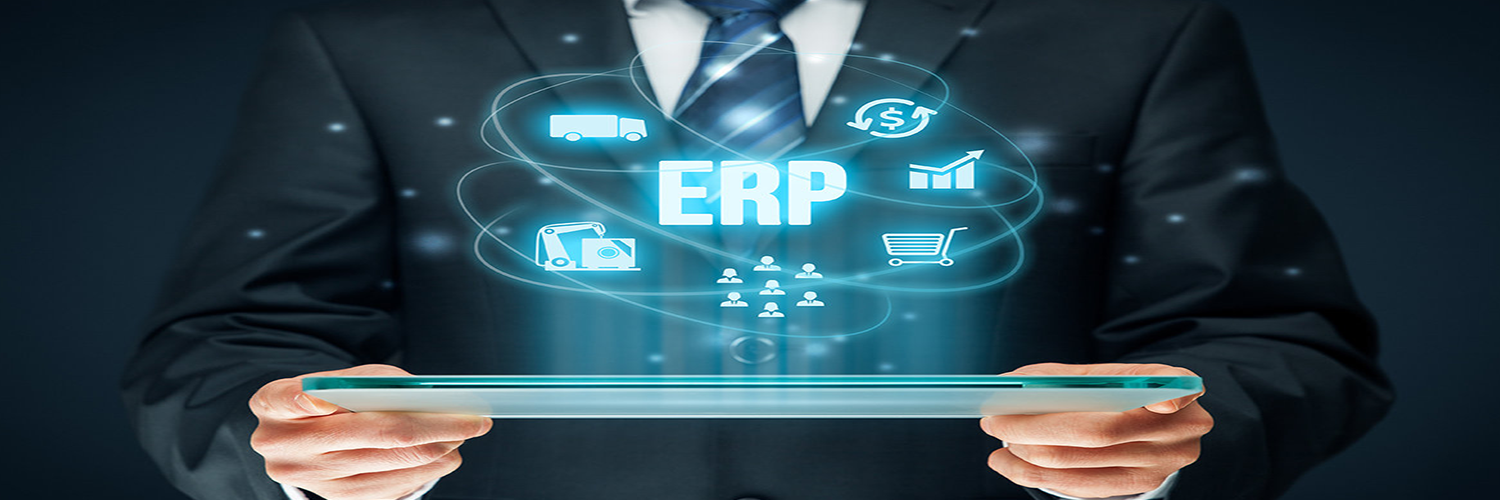 ERP Software For Small Business In India